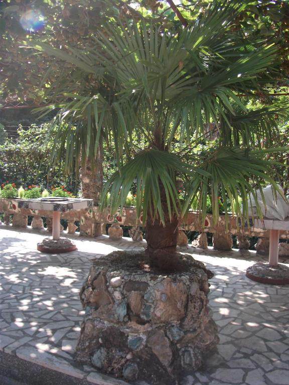 Radonjic Apartments Budva Luaran gambar