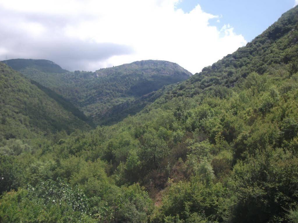 Radonjic Apartments Budva Luaran gambar